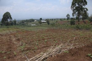 RK Tinjau Aset Lahan Pemprov Jabar di Sumedang