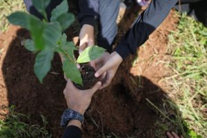 Hari Pohon Sedunia, Pemkot Bandung Tanam 2018 Pohon