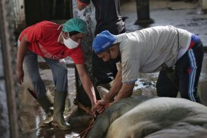 Harga Daging Sapi Naik, Kegiatan di Rumah Potong Hewan Turun